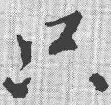 只,王獻之 ,書法字典